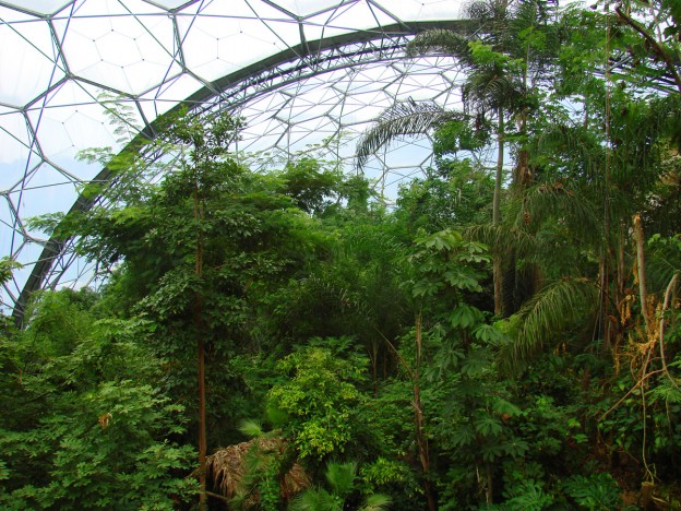 Eden Project Biome